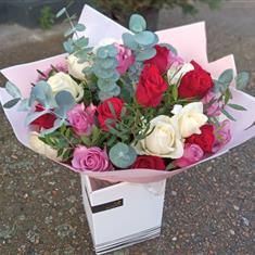 Mixed Rose